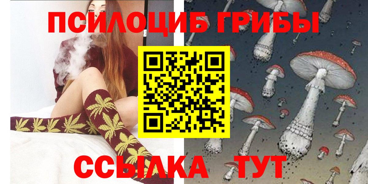 закладки  Вход с VPN  Невинномысск  Галлюциногенные грибы GOLDEN TEACHER 