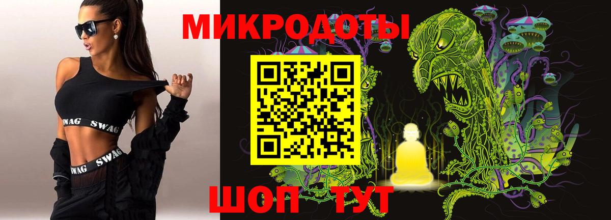 Псилоцибиновые грибы GOLDEN TEACHER  где купить наркоту  Невинномысск 